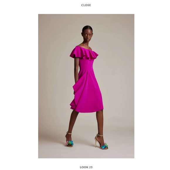 GRETA CONSTANTINE RARE APPLIQUE RUFFLE SEQUIN KNEE LENGTH V-NECK DRESS MARKLE - Picture 16 of 16